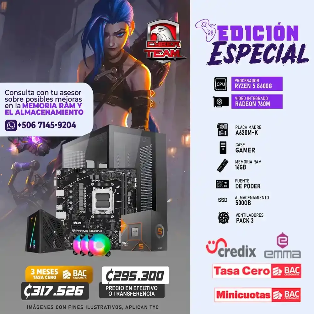 EDICION ESPECIAL PC GAMING RYZEN 5 8600G