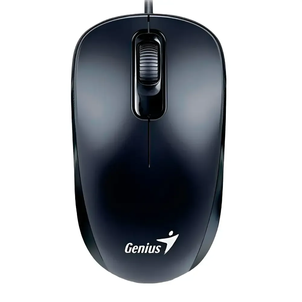 MOUSE GENIUS RS2 DX-110 NEGRO 31010116100