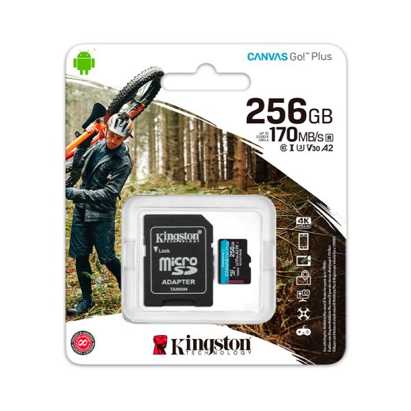 MEMORIA MICRO SD 256GB KINGSTON CANVAS GO PLUS 170R SDCG3/256GB