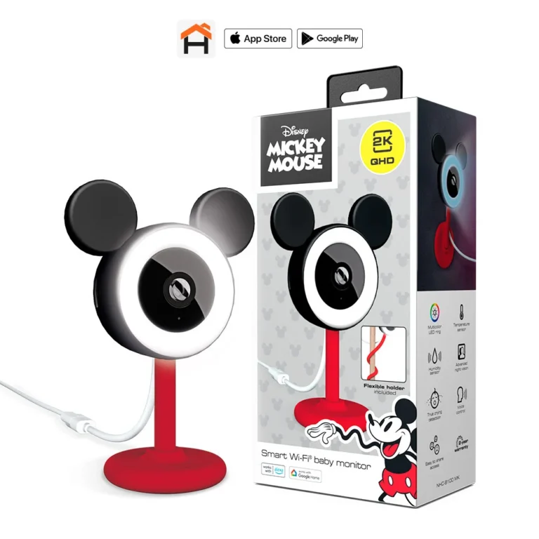 Mickey Regular box