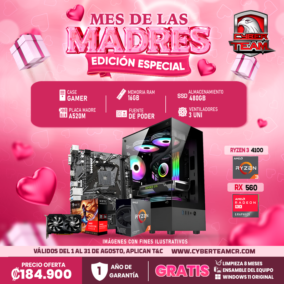 EDICION ESPECIAL RYZEN 3 4100 - RX 560
