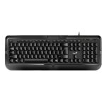 TECLADO GENIUS KB-118 II MEMBRANA ALÁMBRICO USB ESPAÑOL 31310051401 NEGRO