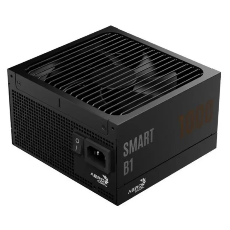 Fuente de poder 1000w