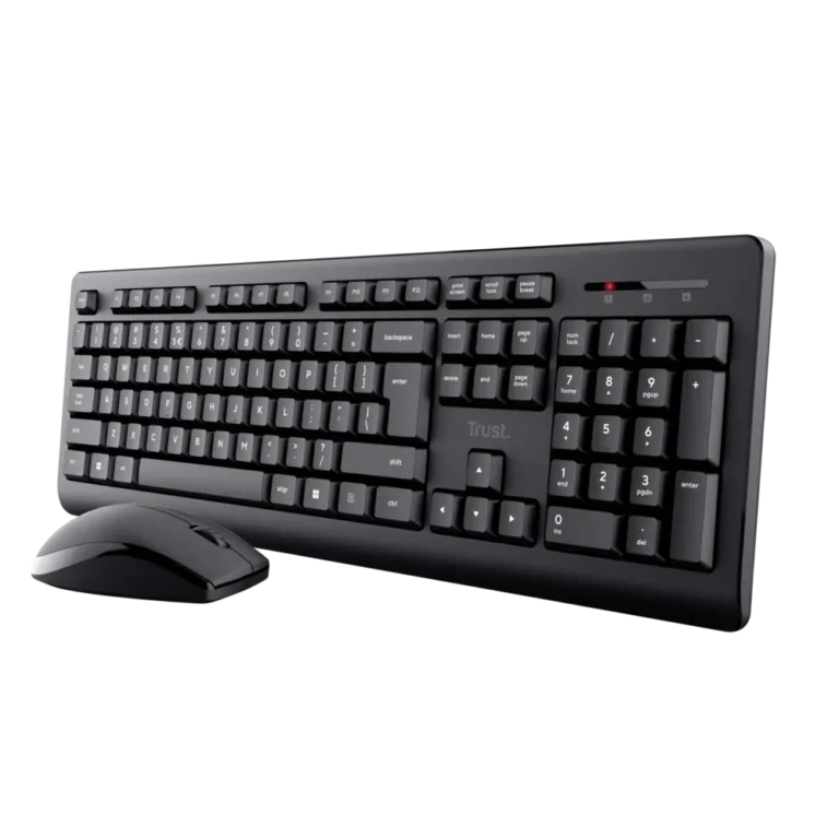 Teclado y mouse